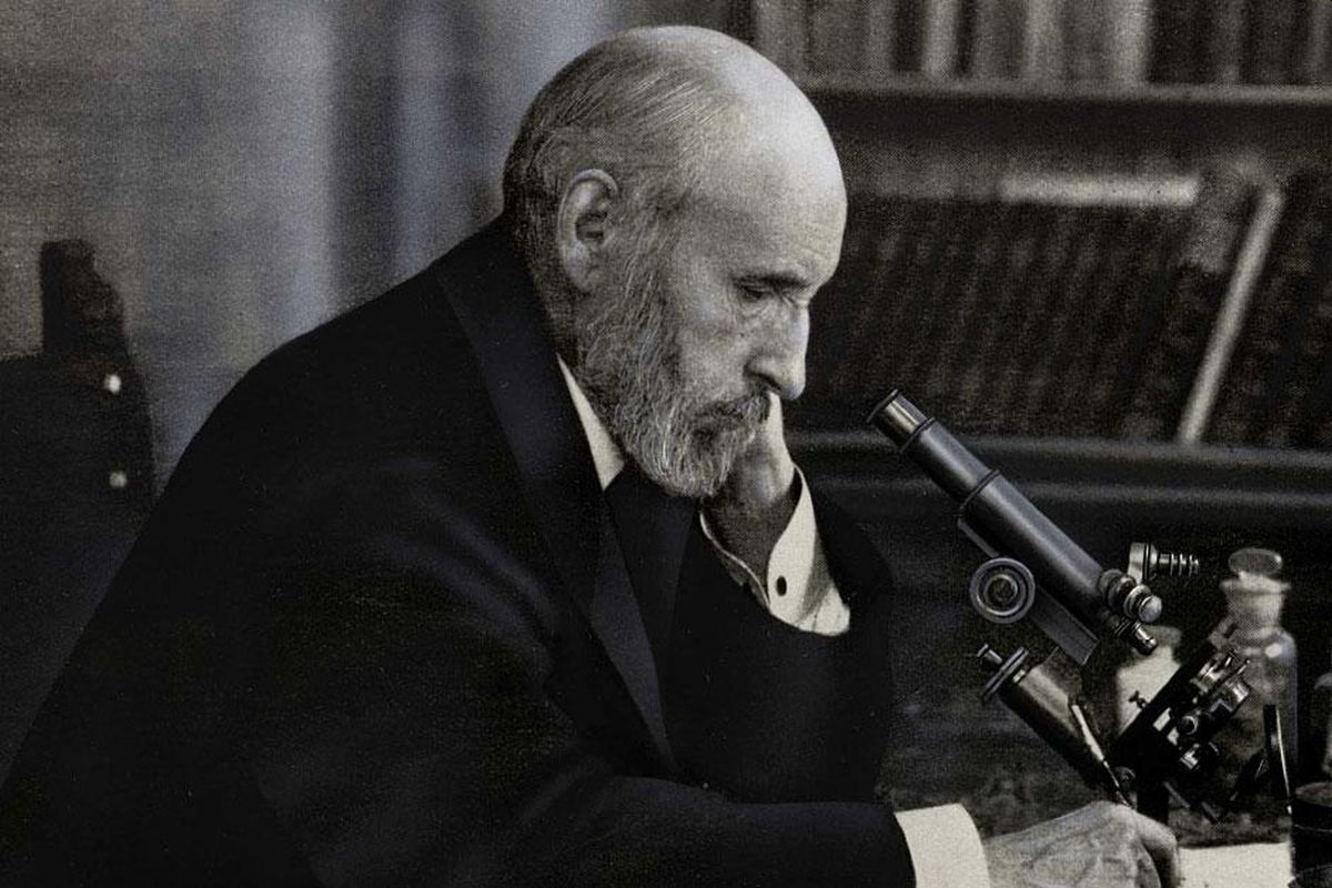 Santiago Ramón y Cajal: Premio Nobel de medicina y padre de la Neurociencia Tertulia Cultural La Gruta Neiva Colombia