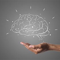 EL MECANISMO CEREBRAL QUE CREA ESTADOS CONSCIENTES, Tertulia Cultural La Gruta Neiva Colombia