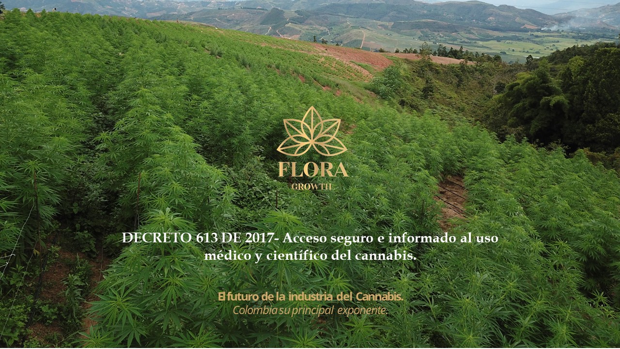 Acceso seguro e informado al uso médico y científico del cannabis Tertulia Cultural La Gruta Neiva Colombia