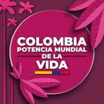 PLAN DE DESARROLLO MIRADA CRITICA, Tertulia Cultural La Gruta Neiva Colombia