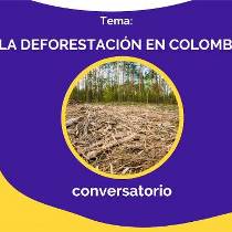 CONVERSATORIO: LA DEFORESTACION EN COLOMBIA, Tertulia Cultural La Gruta Neiva Colombia